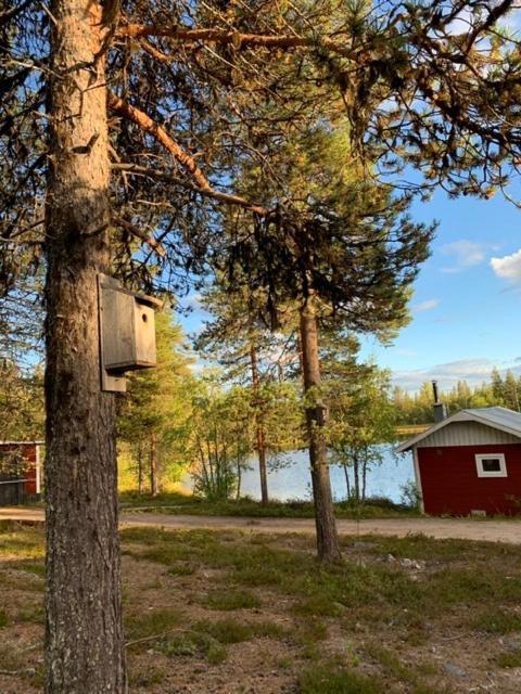 Off-Grid Cabin In Nattavaara Lapland Dış mekan fotoğraf
