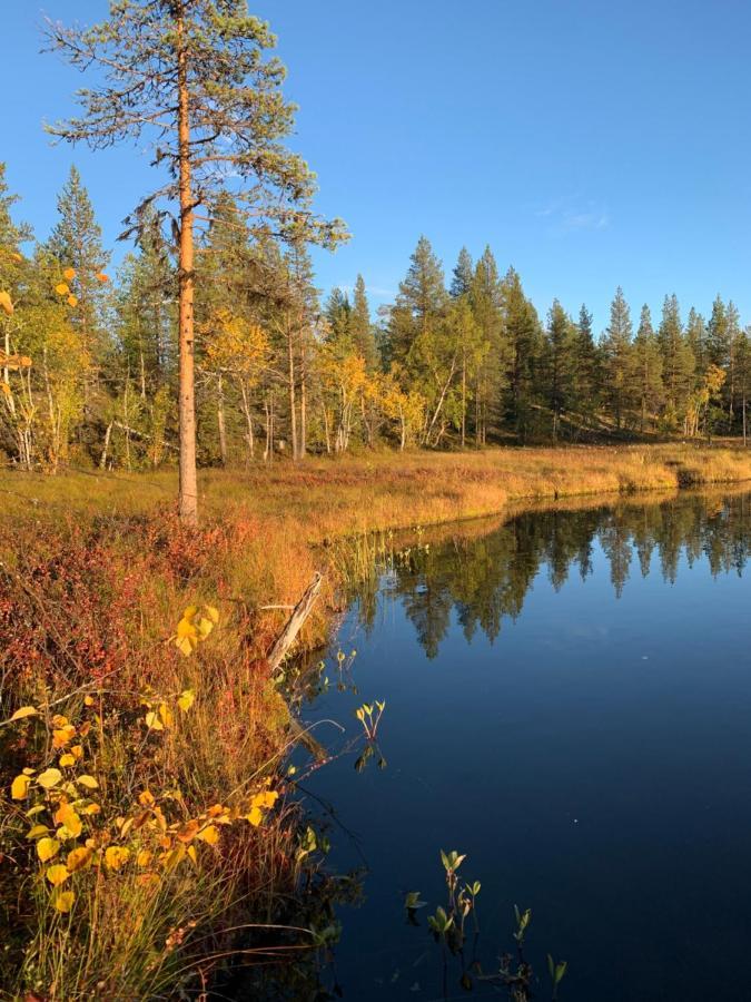 Off-Grid Cabin In Nattavaara Lapland Dış mekan fotoğraf
