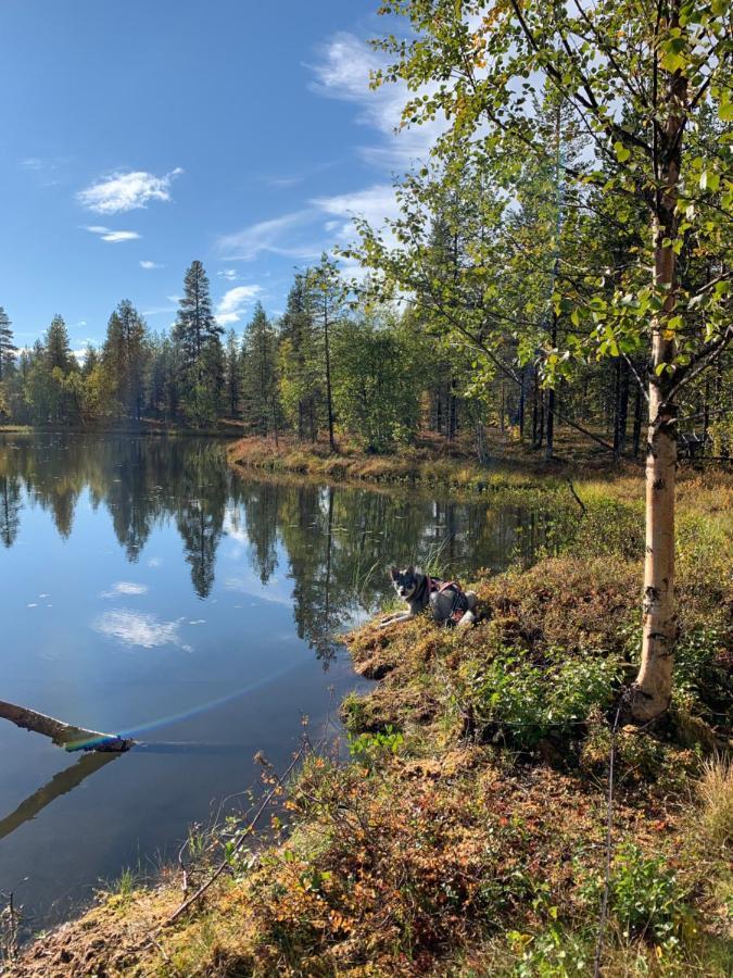 Off-Grid Cabin In Nattavaara Lapland Dış mekan fotoğraf