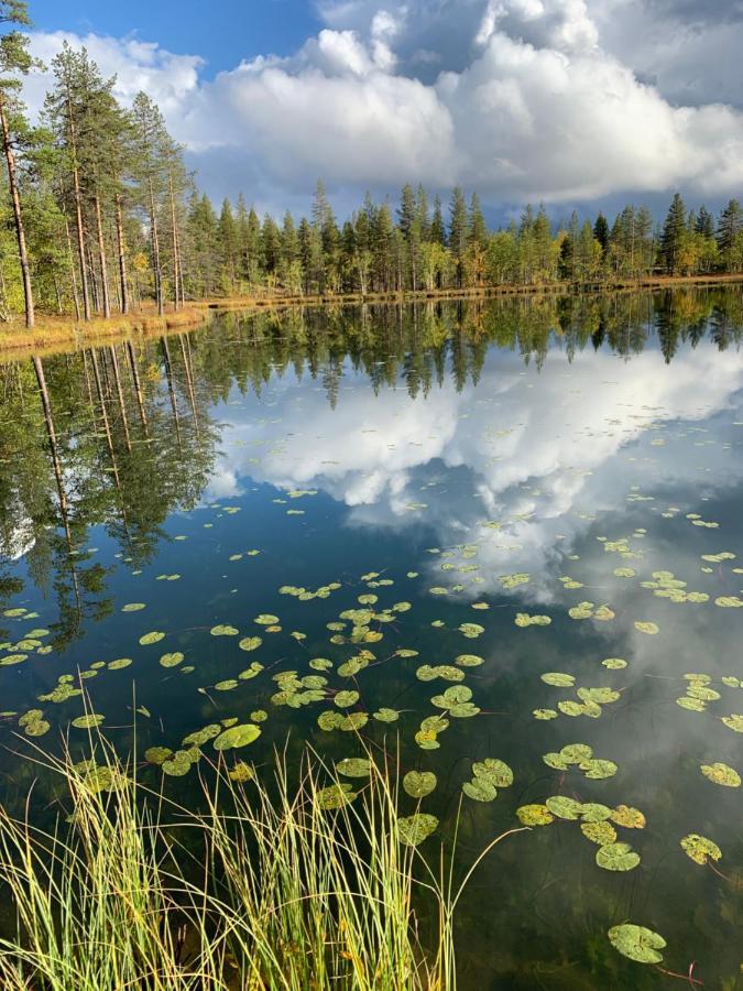 Off-Grid Cabin In Nattavaara Lapland Dış mekan fotoğraf