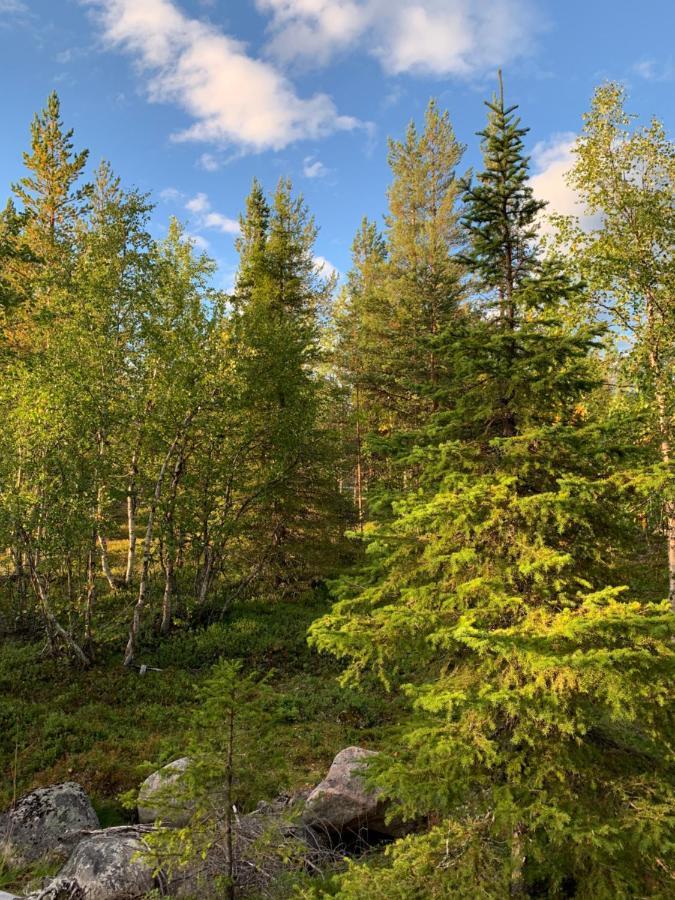 Off-Grid Cabin In Nattavaara Lapland Dış mekan fotoğraf