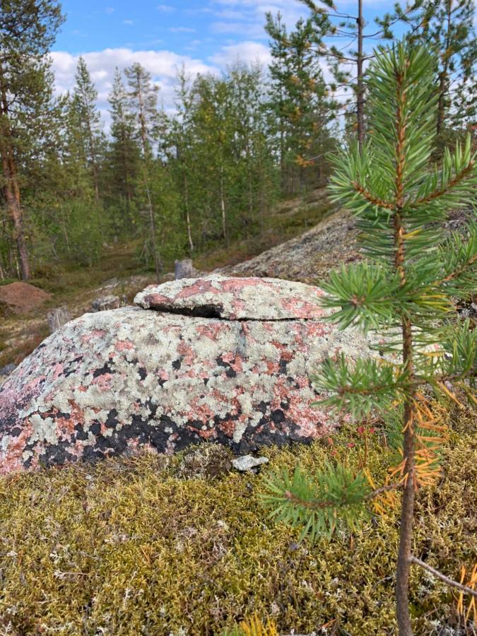 Off-Grid Cabin In Nattavaara Lapland Dış mekan fotoğraf