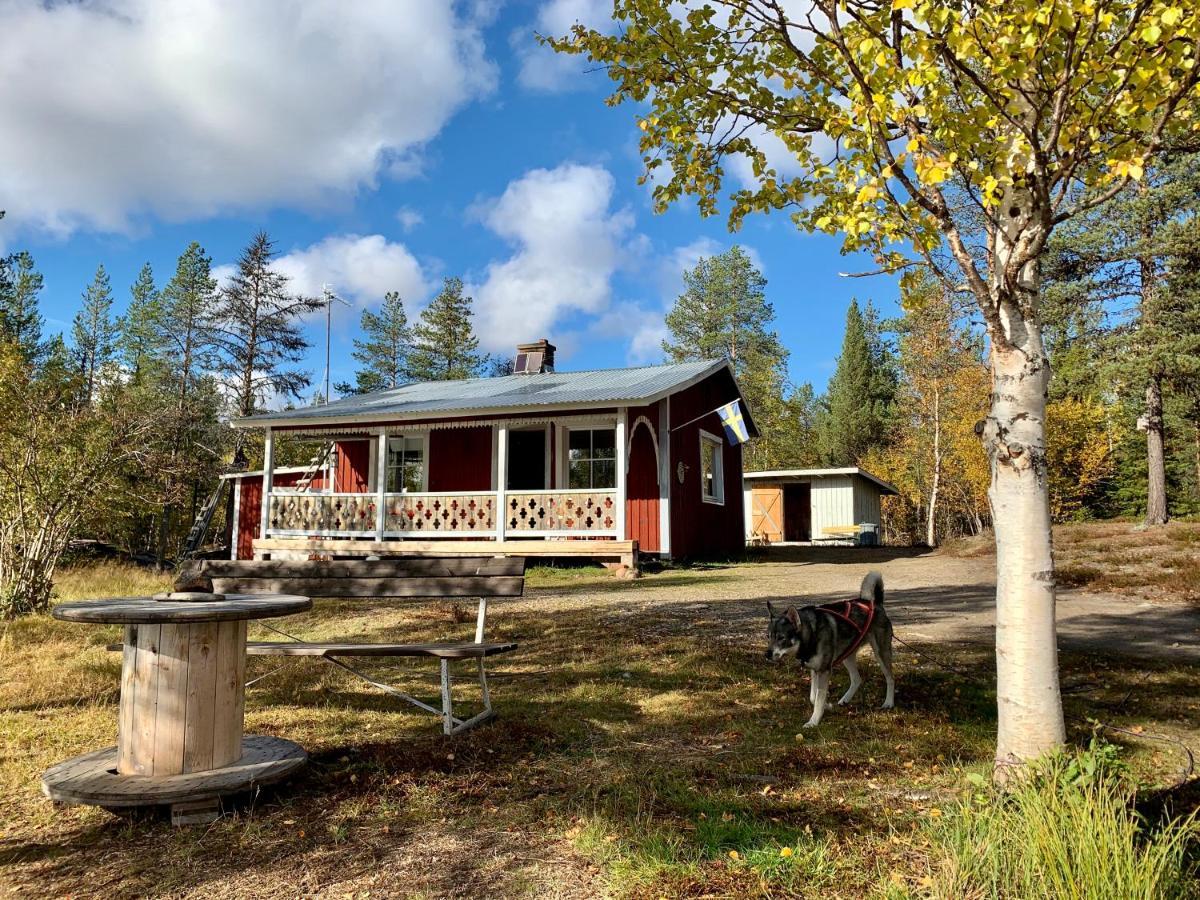 Off-Grid Cabin In Nattavaara Lapland Dış mekan fotoğraf
