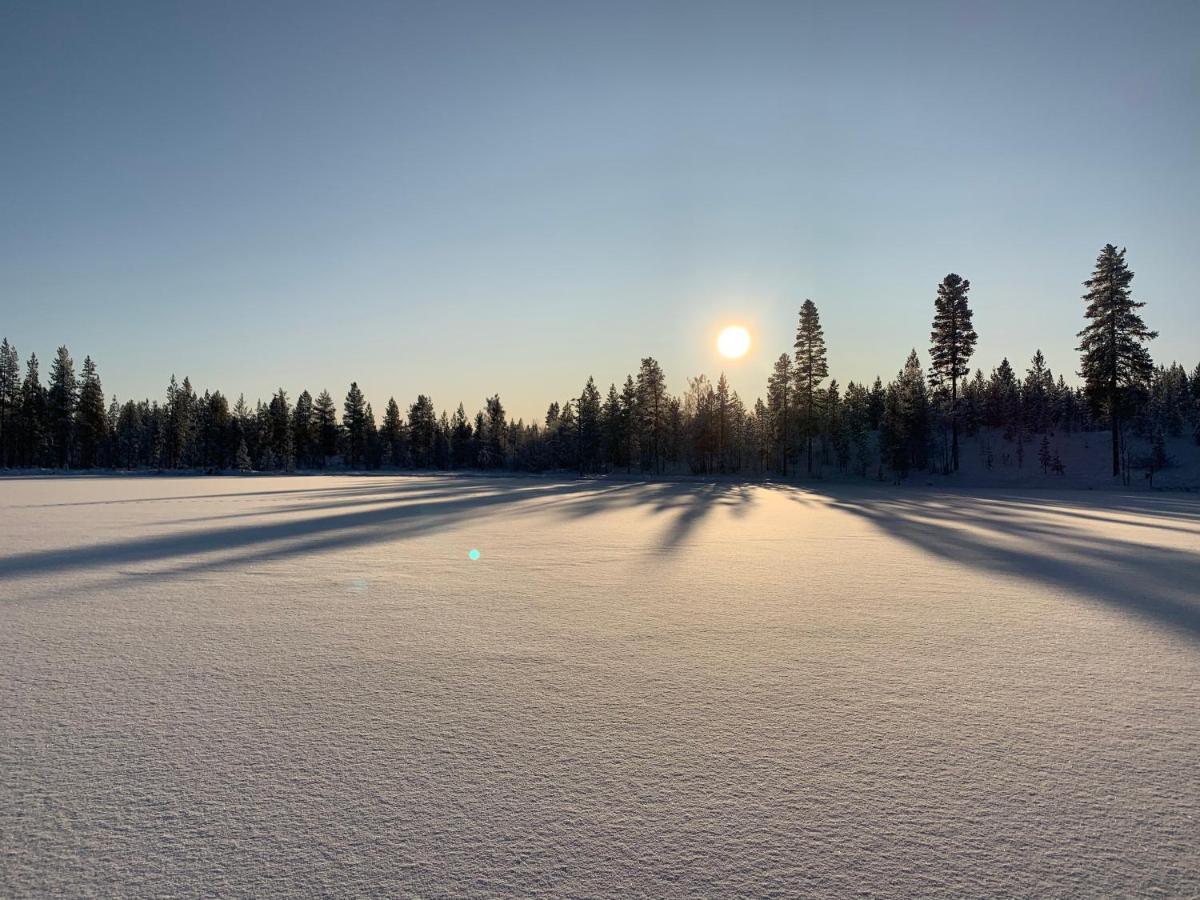 Off-Grid Cabin In Nattavaara Lapland Dış mekan fotoğraf