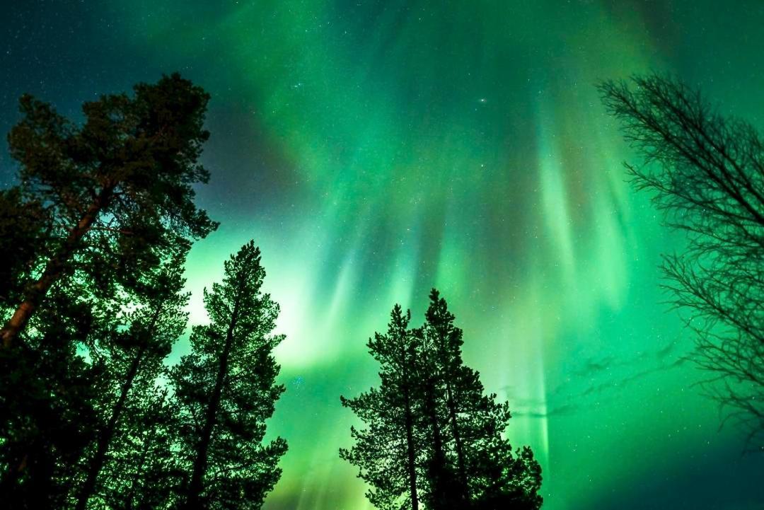 Off-Grid Cabin In Nattavaara Lapland Dış mekan fotoğraf